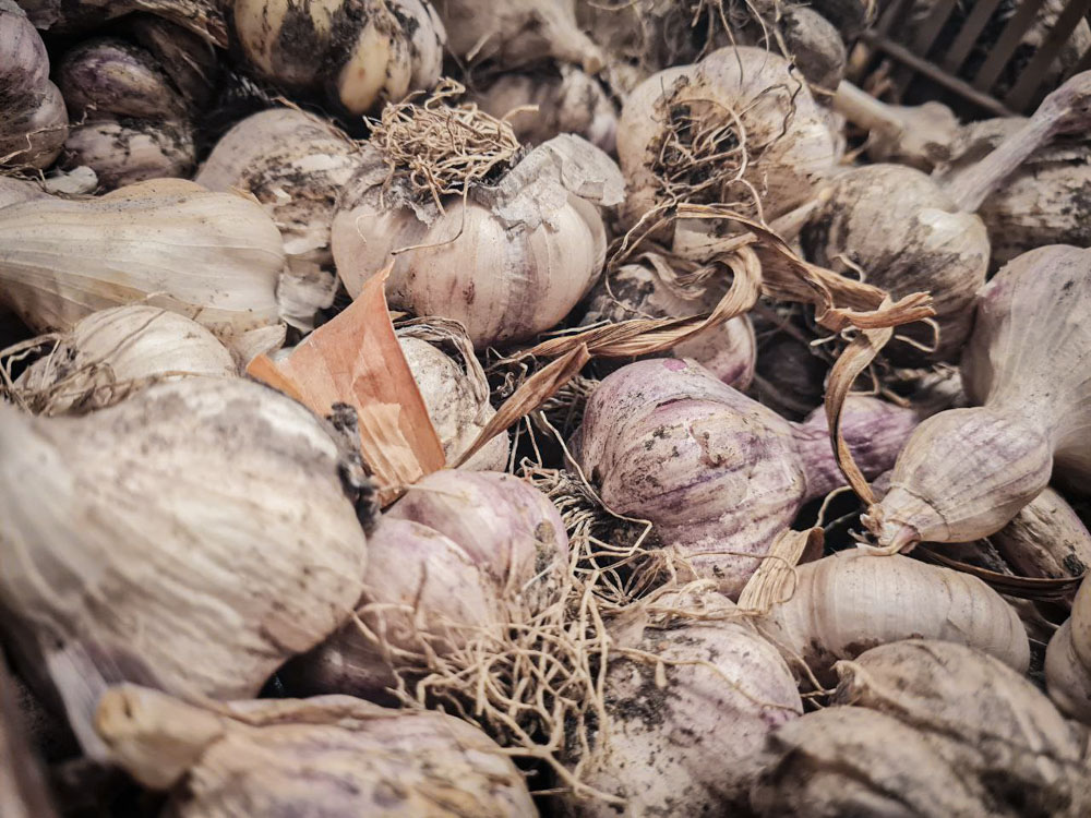 La-Grange-Larchant-xs (10 of 13)